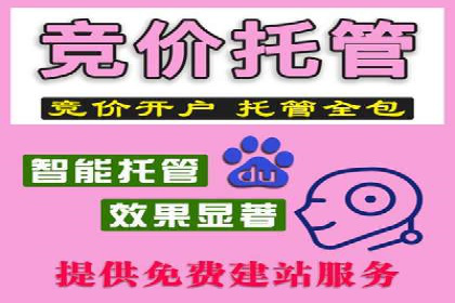 竞价推广公司案例：揭秘成功背后的秘密